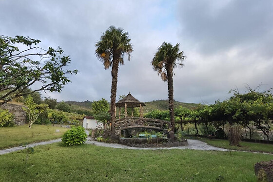 Resort Quinta do Sameiro - photo 12