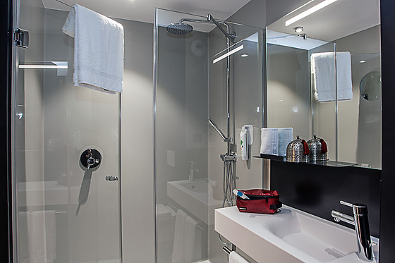 Ibis Styles Genève Carouge*** - photo 18