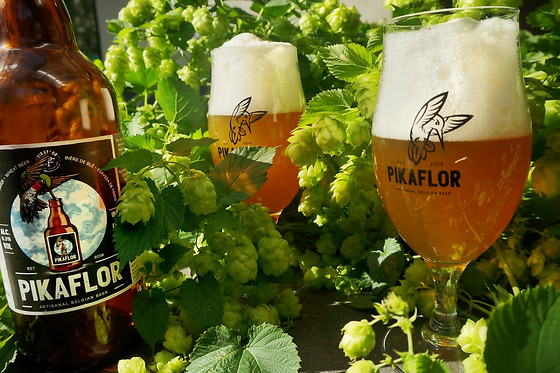 Microbrouwerij De Backer - photo 3
