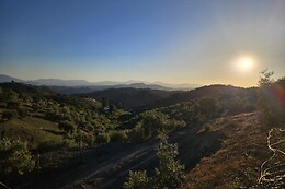 FINCA COLORES