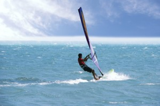Wave School - photo 22