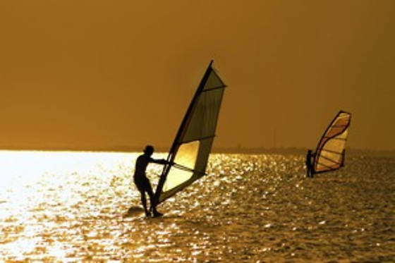 Wave School - photo 20