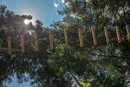 discOWer Seilpark Melchsee-Frutt