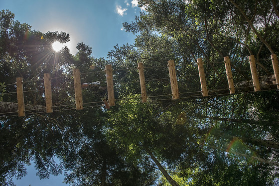 discOWer Seilpark Melchsee-Frutt - photo 6