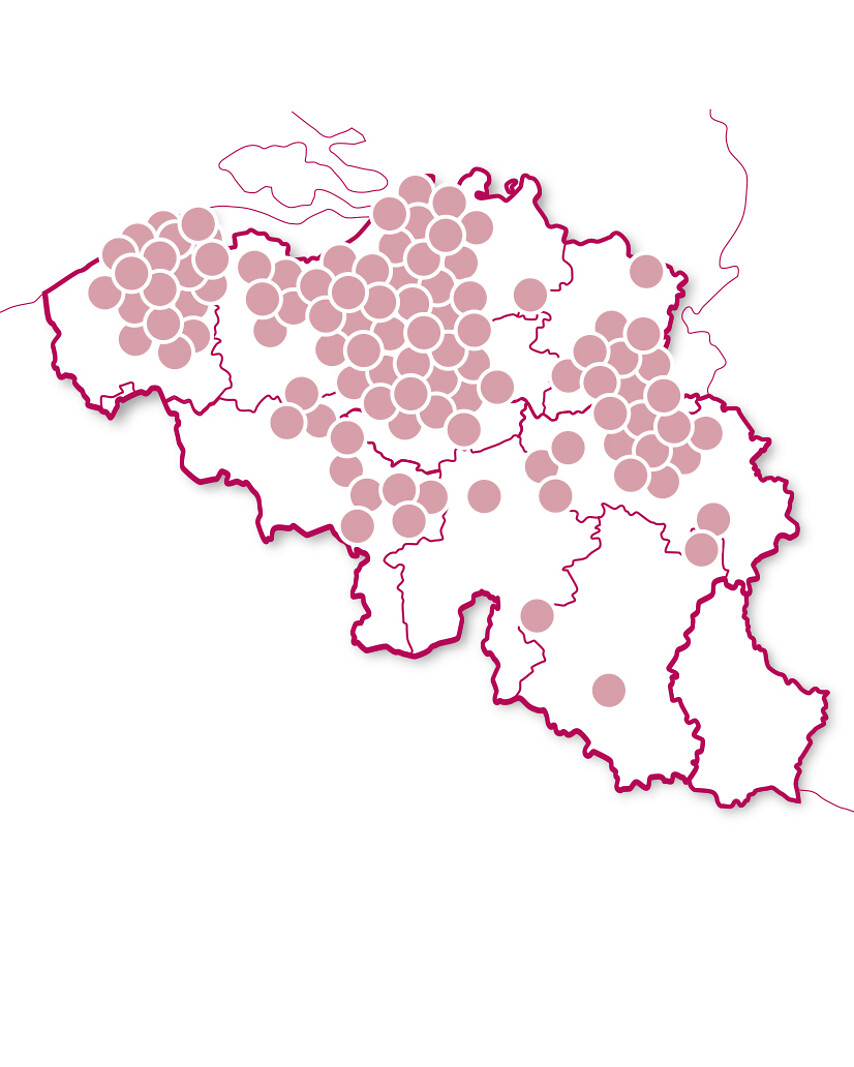 Gastronomie en wijn
