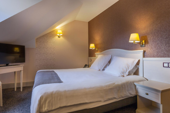 Best Western Le Duguesclin - photo 17