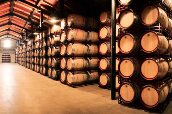 BODEGAS BILBAINAS - photo 3