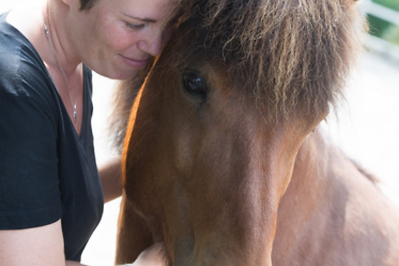 Tiertherapie Bern - photo 2