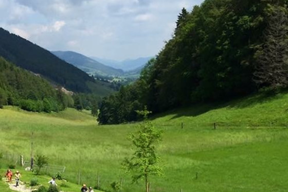 Berghof Montpelon - photo 2