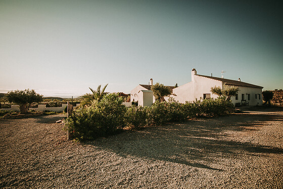 FINCA EL POCICO - photo 24