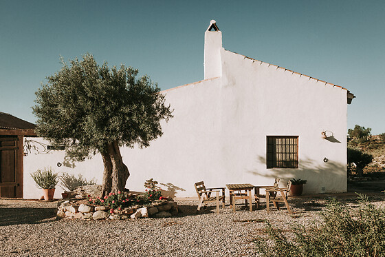 FINCA EL POCICO - photo 16