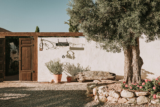 FINCA EL POCICO - photo 17