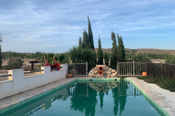 FINCA EL POCICO - photo 18