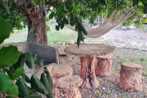 FINCA EL POCICO - photo 29
