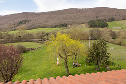 CASA RURAL FLOR DE VIDA