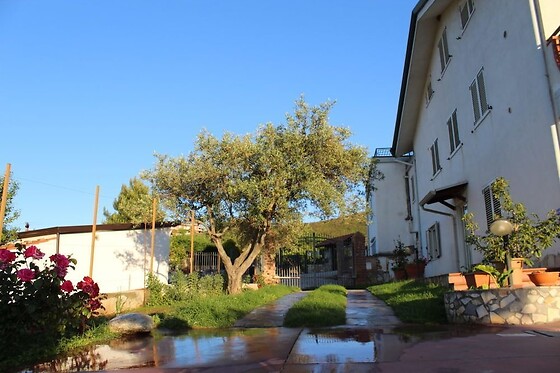 Online Booking EPS - photo 1