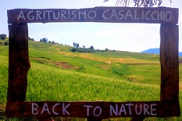 Agriturismo Casalicchio