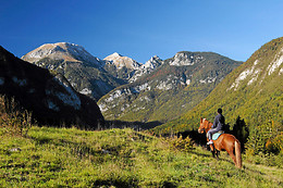 Centre Equestre les Onglous