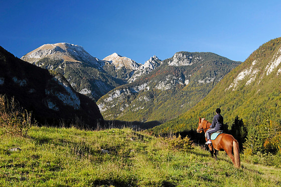 Centre Equestre les Onglous - photo 4