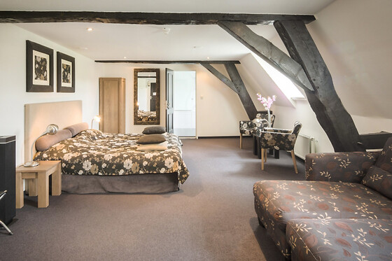 Saillant Hotel Kasteel Doenrade - photo 12