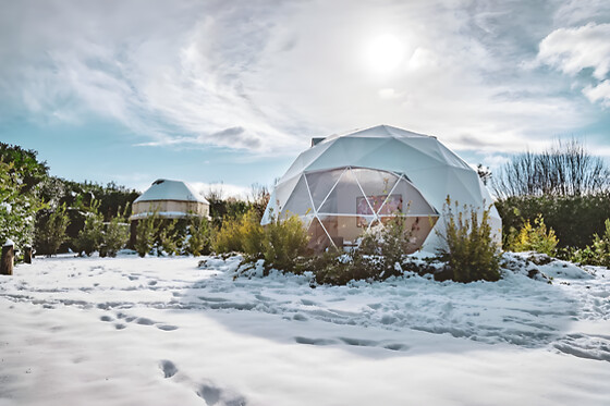 UnderDome Glamping - photo 8