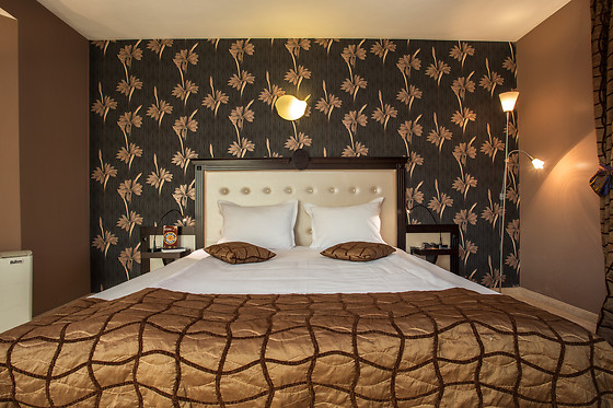 Lozenetz Hotel Sofia - photo 3
