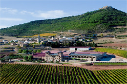 BODEGAS CASTILLO DE MONJARDIN
