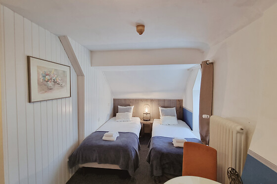 Saillant Hotel Brull - photo 15