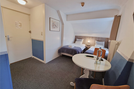 Saillant Hotel Brull - photo 16