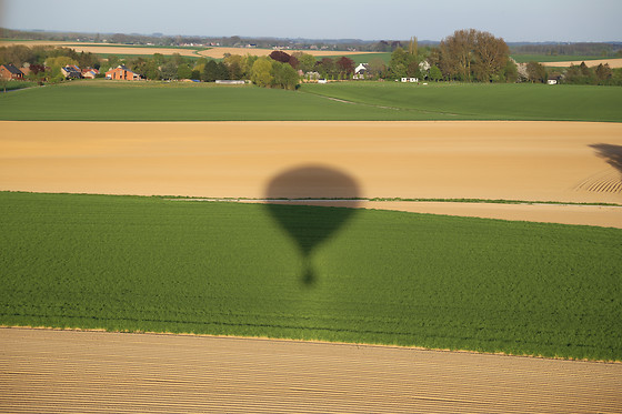 Pearl Balloon - photo 11