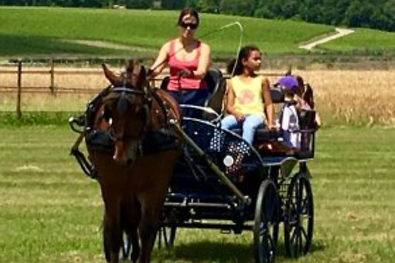 Ecurie Denogent  Club du Lys - photo 2