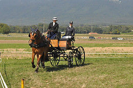 Ecurie Denogent  Club du Lys