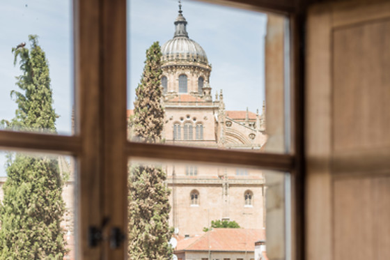 HOSPES PALACIO DE SAN ESTEBAN - photo 3