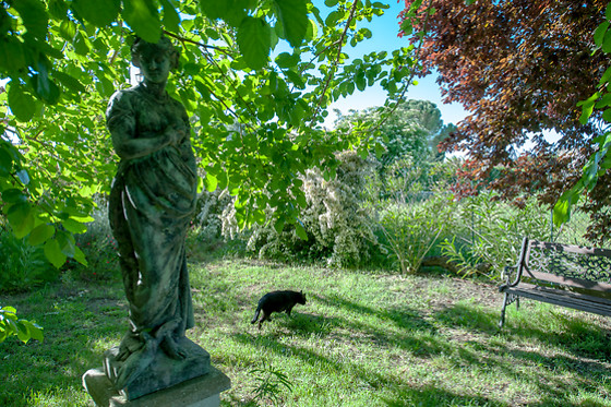 Villa Hanna - photo 4