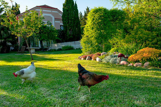 Villa Hanna - photo 7