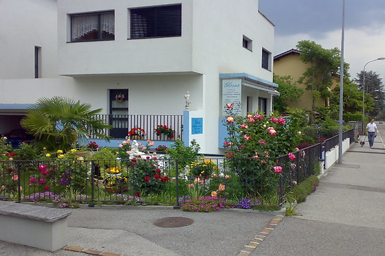 Glossa - Scuola di Lingue e Informatica - photo 0