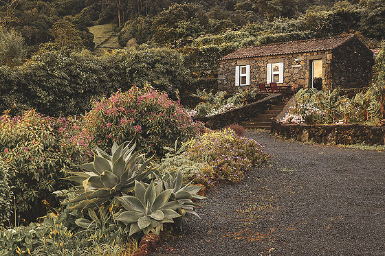 ADEGAS DO PICO - photo 4