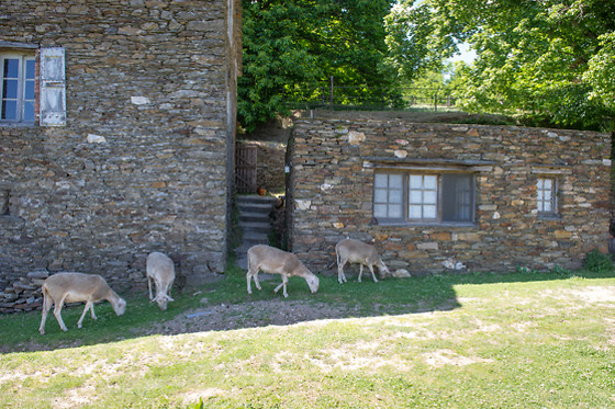 Magnanerie du Serre - photo 11