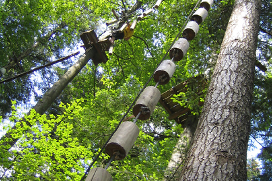 Alsace Aventure - photo 5