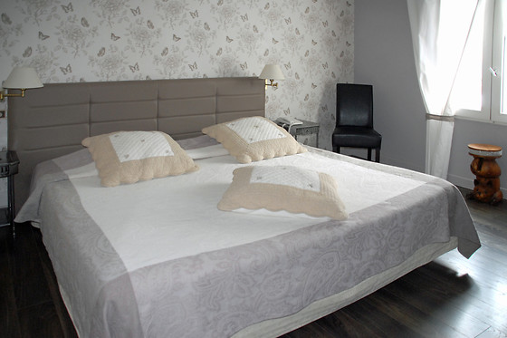 Hôtel Ermitage - photo 3
