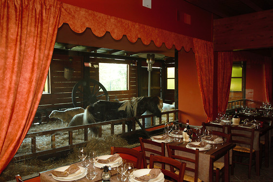 Tenuta del Vecchio Mulino - photo 2