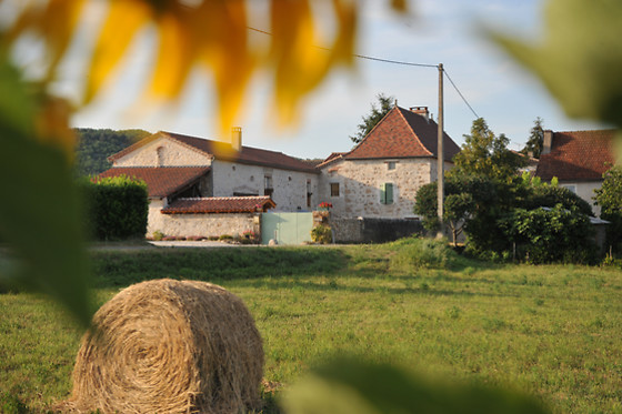 EI Le Mas de la Pommeraie - photo 12