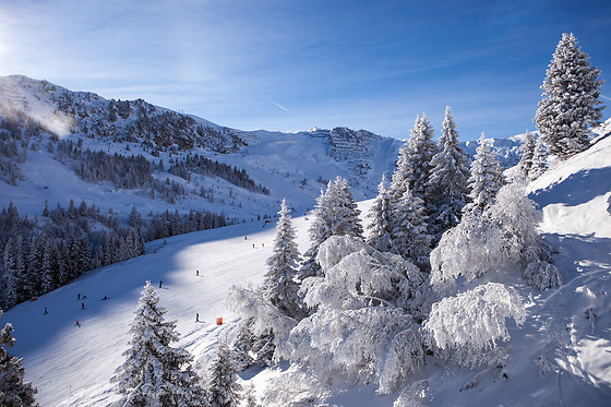 Maison de Montagne Bretaye - photo 1