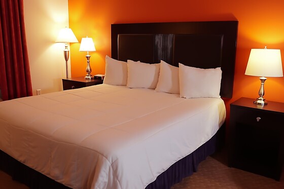 Online Booking EPS - photo 2