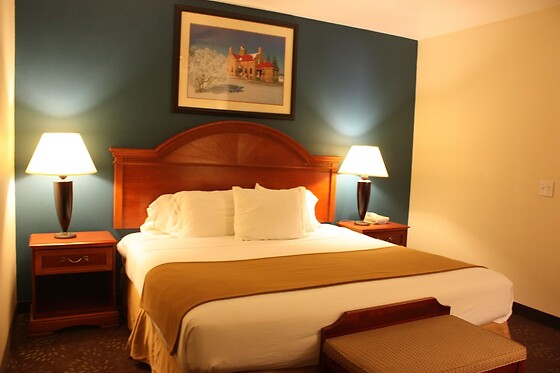 Online Booking EPS - photo 6