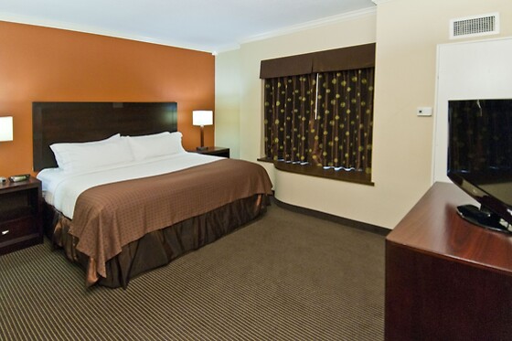 Online Booking EPS - photo 4