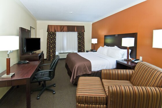 Online Booking EPS - photo 5