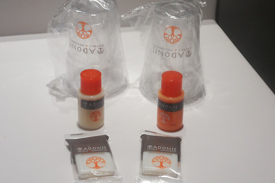 Adonis Hôtel Bayonne - photo 11