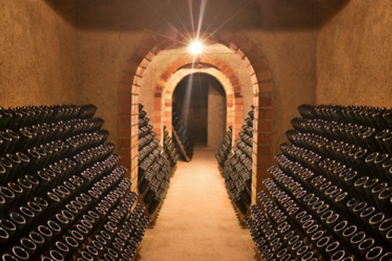 CAVA CONDE DE VALICOURT - photo 1