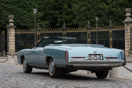 Cady Cruise - photo 15